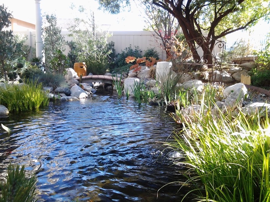 December ponds still look great , if taken care of .