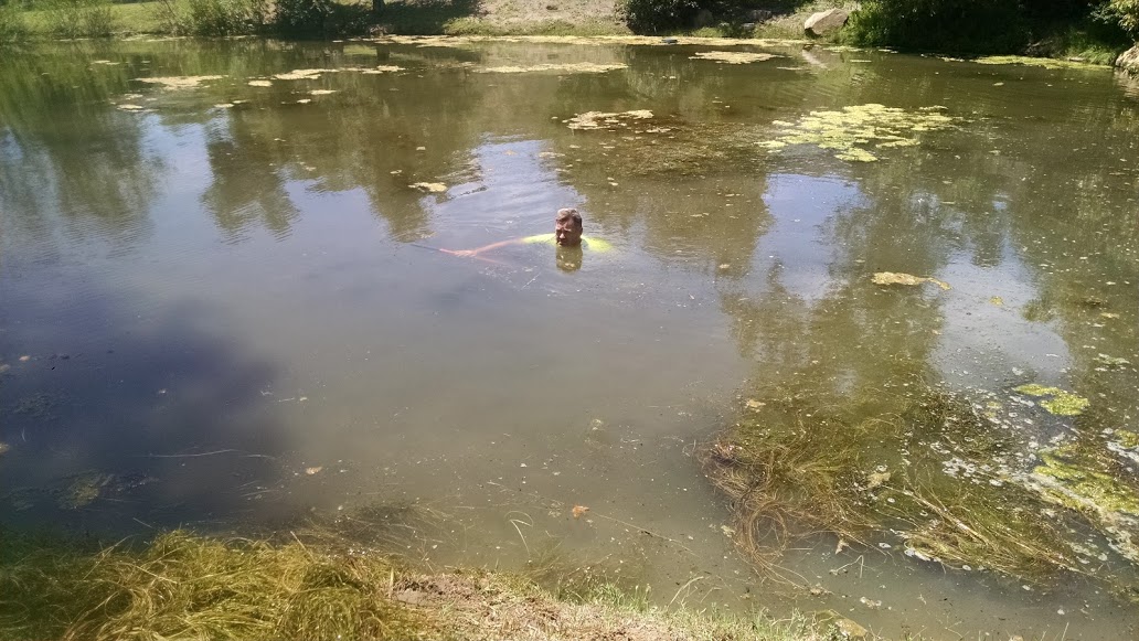 pond swimming 2